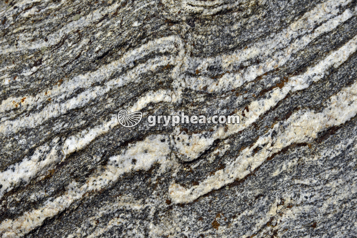Migmatite - gryphea.com
